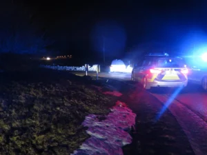 policia gjermani naten