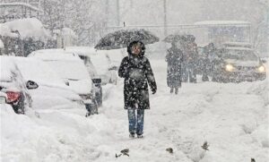 auto_bor41417080914-730x440