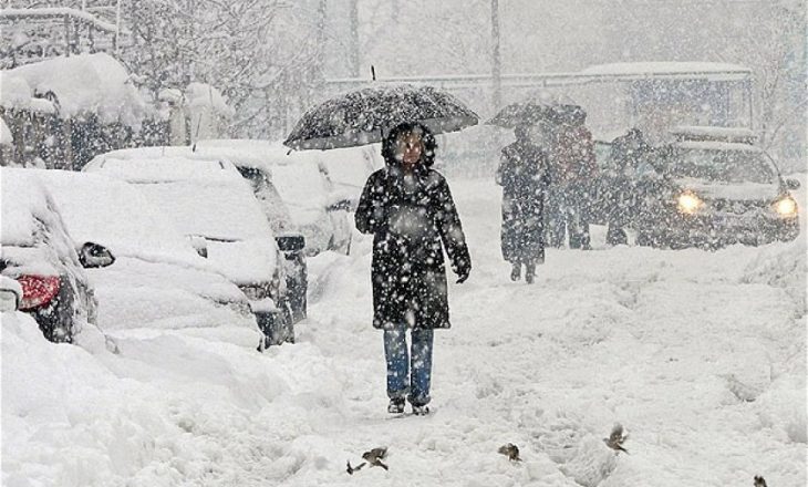 auto_bor41417080914-730x440