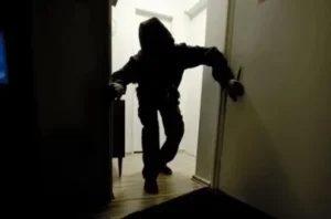 vjedhje hajnat hajni