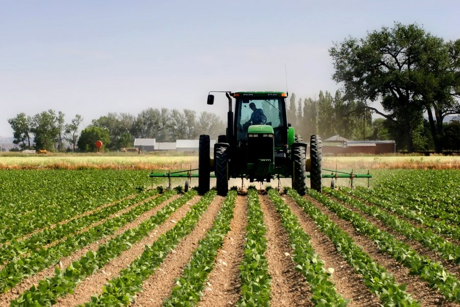 skema e bujqesire 2025 risite subvencione